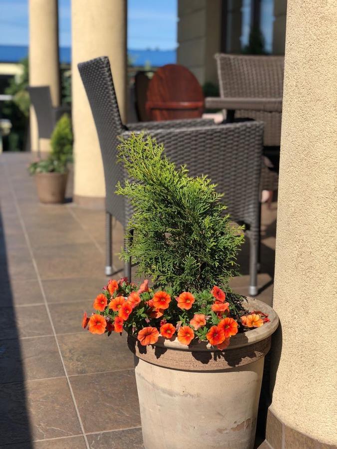 Bialy Kruk Hotel Starogard Gdański Buitenkant foto